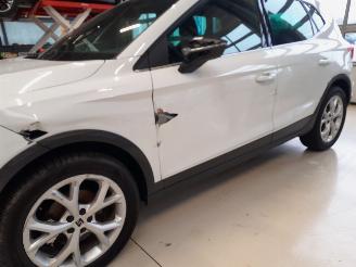 Seat Arona FR picture 16