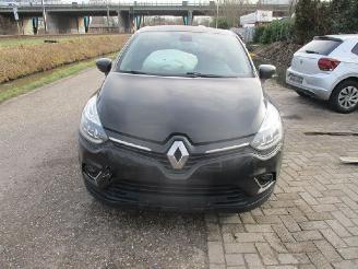 dommages fourgonnettes/vécules utilitaires Renault Clio  2017/1