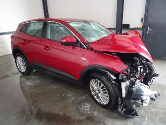 uszkodzony samochody osobowe Opel Grandland 1.2 THP AUTOMAAT 2020/6