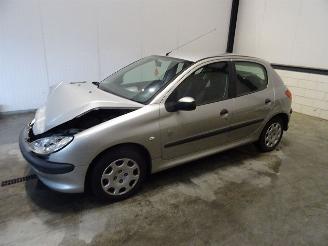 disassembly commercial vehicles Peugeot 206 1.4 2005/8