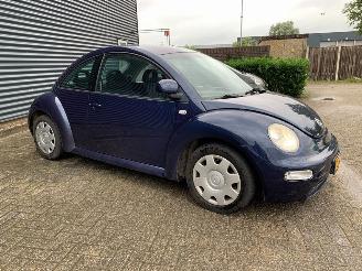 Volkswagen Beetle  picture 6