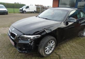 BMW 2-serie 218d picture 6