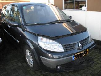  Renault Grand-scenic 2.0 16v 99kw automaat 2005/1