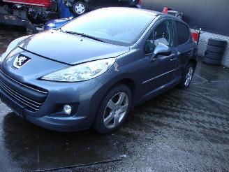 occasione veicoli commerciali Peugeot 207  2010/1