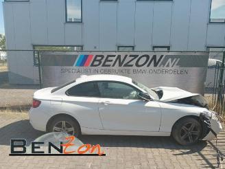 Unfall Kfz Van BMW 2-serie 2 serie (F22), Coupe, 2013 / 2021 218i 1.5 TwinPower Turbo 12V 2016/9