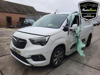 Opel Combo Combo Cargo, Van, 2018 1.6 CDTI 100 picture 5
