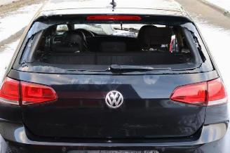 Volkswagen Golf Golf VII (AUA), Hatchback, 2012 / 2021 1.6 TDI BlueMotion 16V picture 13