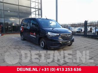 dommages vélos Opel Combo Combo Cargo, Van, 2018 1.6 CDTI 75 2019/1
