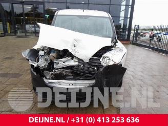 Opel Combo Combo, Van, 2012 / 2018 1.3 CDTI 16V ecoFlex picture 2