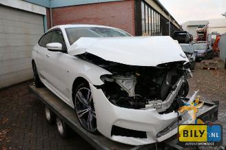 škoda osobní automobily BMW 6-serie G32 3.0dX 2017/8